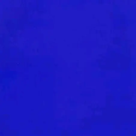 𝘾𝙝𝙞𝙘𝙤 𝙗𝙡𝙤𝙤𝙢