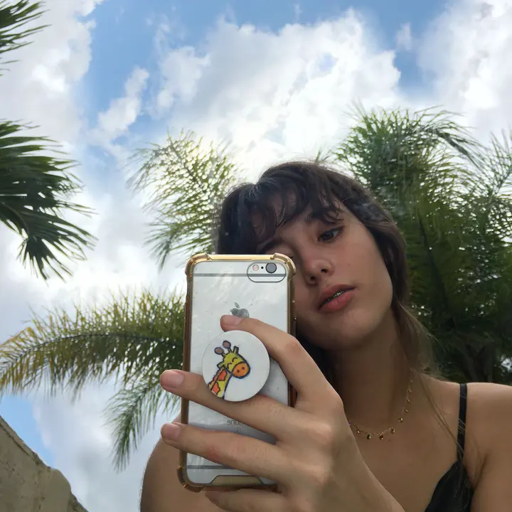 C R I S S
