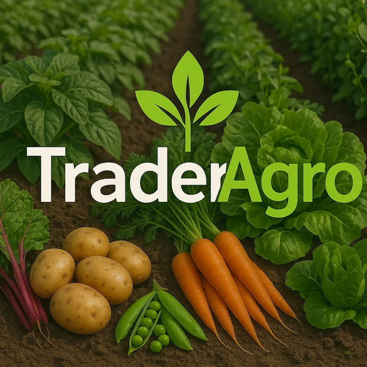 TraderAgro👩‍🌾👩‍🌾🌱🥔🫛🇨🇴