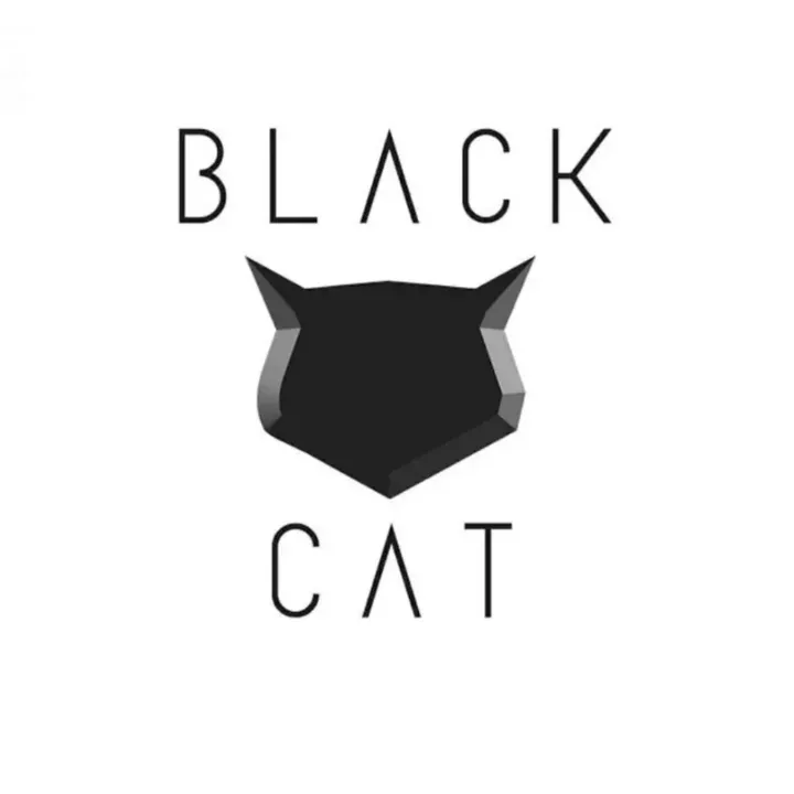 Black Cat 🐈‍⬛🔥
