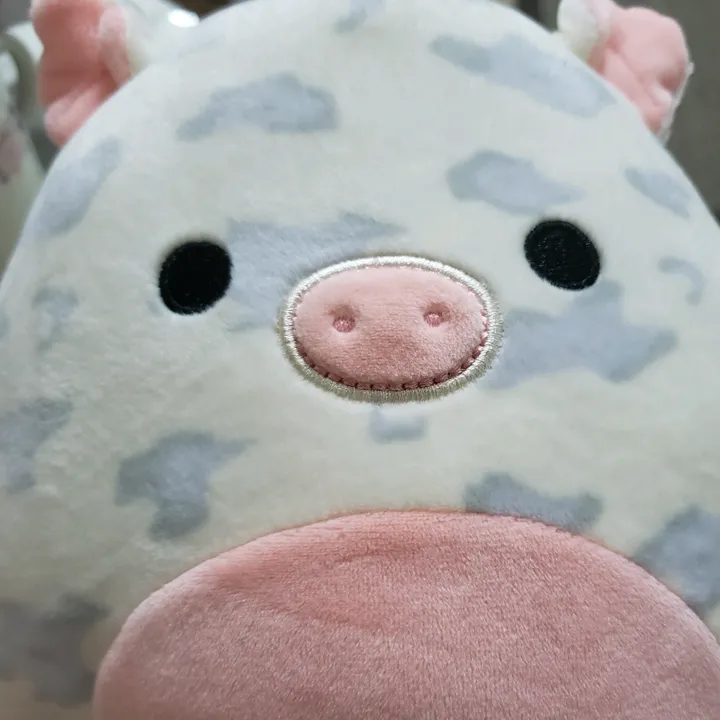 Sock