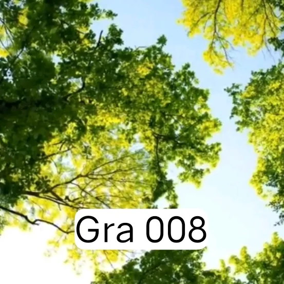 Gra8Noxd2
