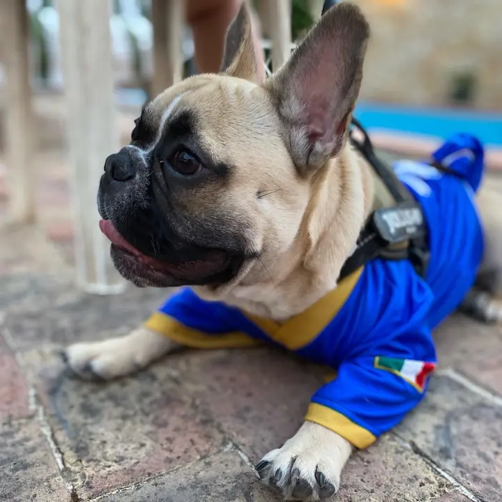 Brando