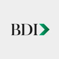 BDI Consultora