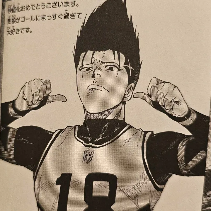 baroushoeipillowsniffer