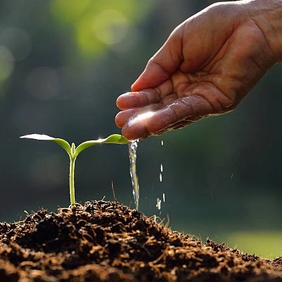 انا و البخشـي 🌱