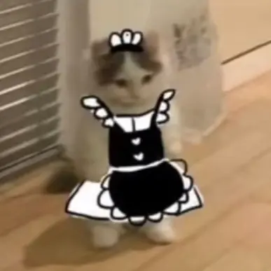 Sorry i dont know what to post