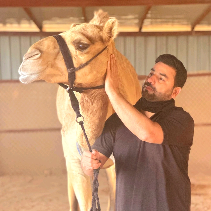 Qasim Mirrani ✨️👑