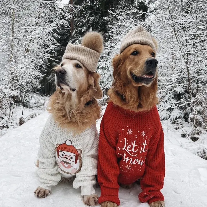 𐙚⋆🎄𝐂𝐑𝐈𝐒!!⛸️༄