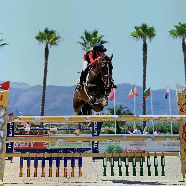 Showjumping_ml