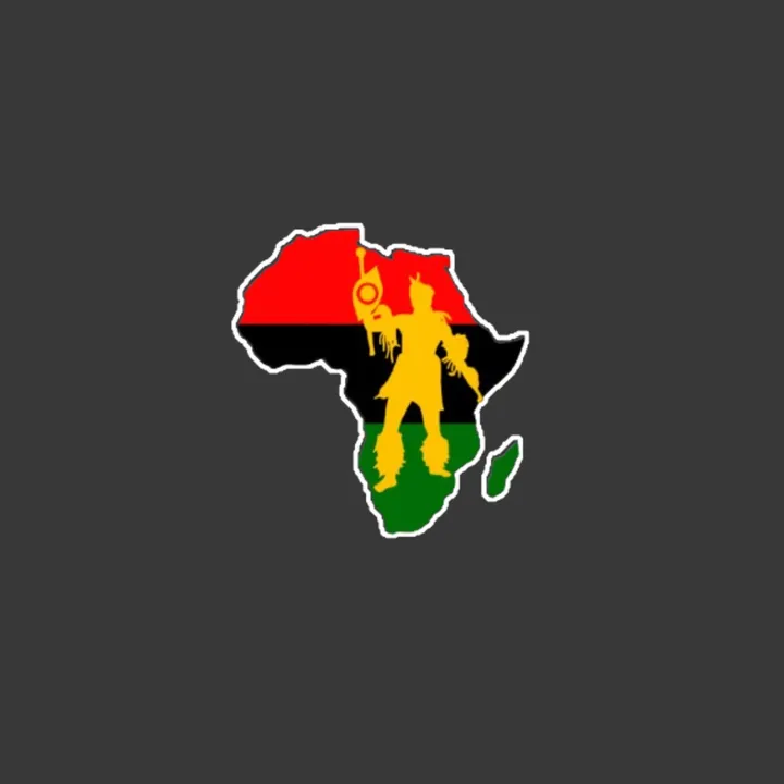 african.patriots.org