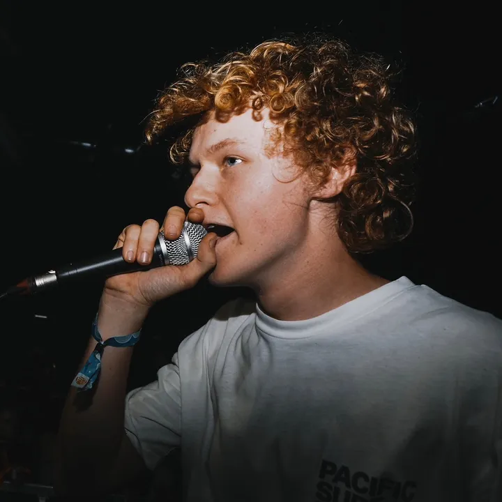 Ibe Vanmarsenille