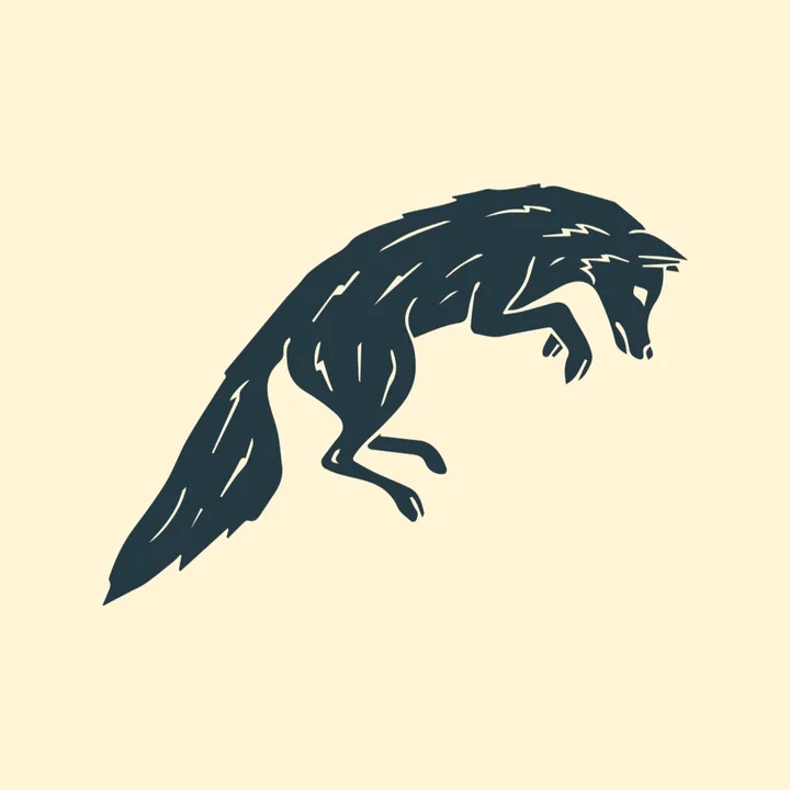 Fox & Hollow Outfitters