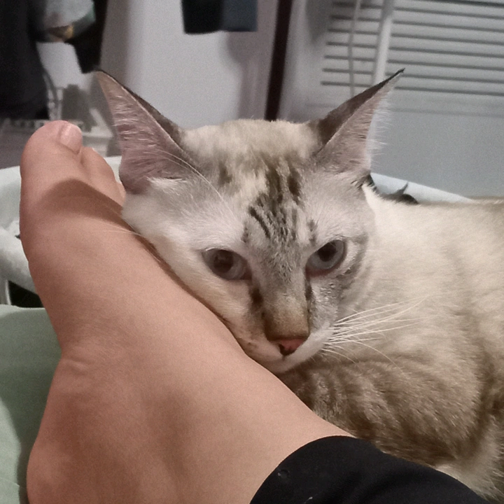 ฝนตกแล้วนะคะ