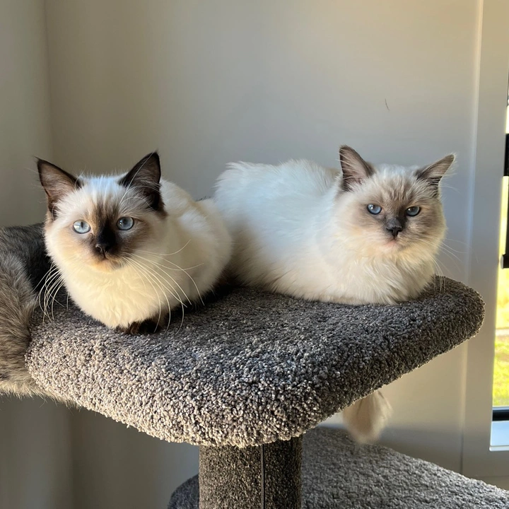 Sadie & Winnie