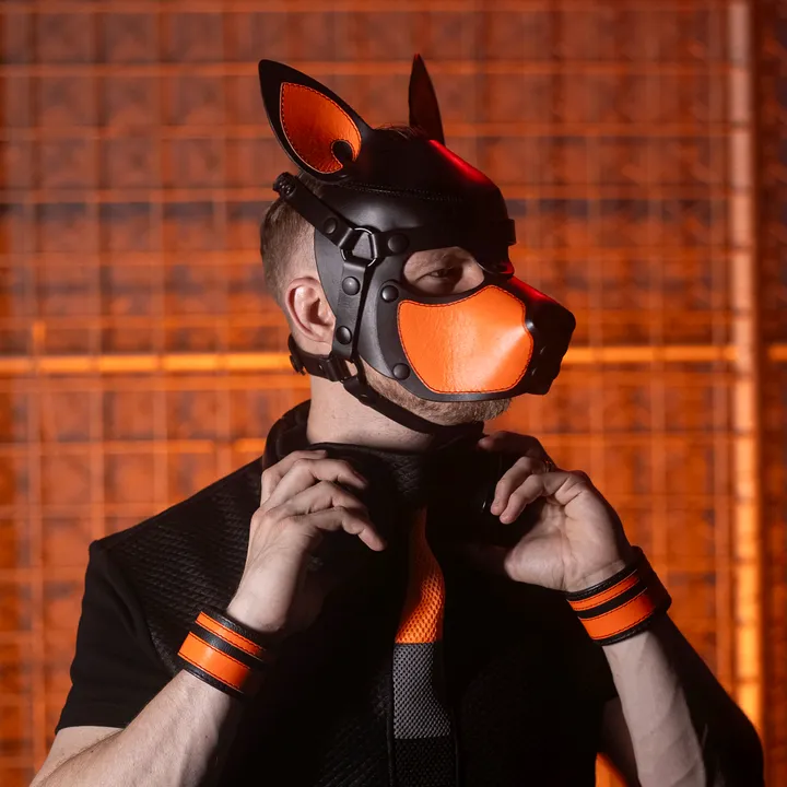 Pup Riff Music