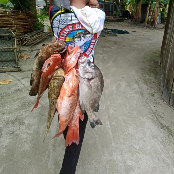 Bajao Pelaut