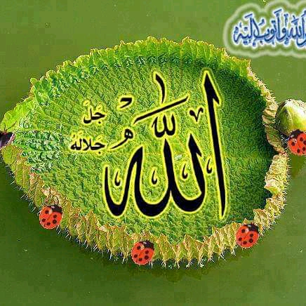 👈🏻🥀الله أكبر 🥀👉🏻