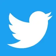 Twitter in a nutshell