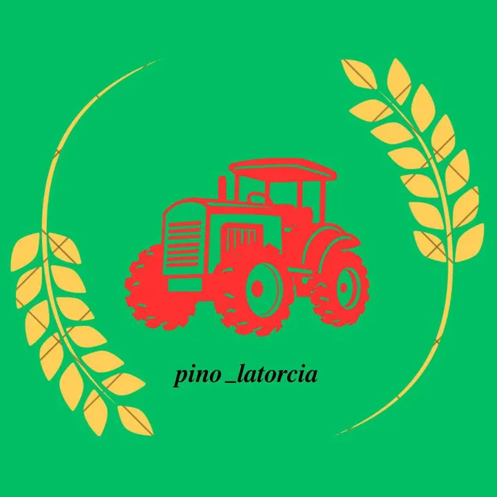 pino_latorcia