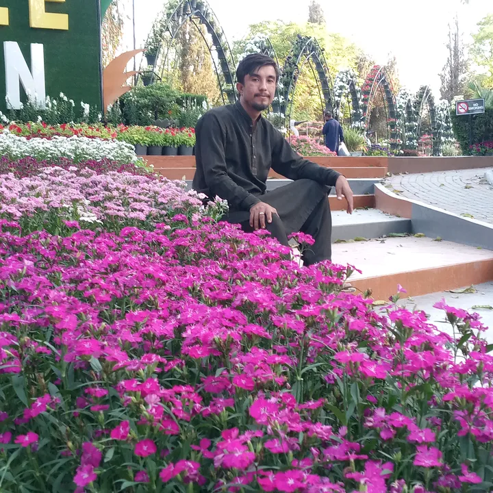 Shafi Ullah