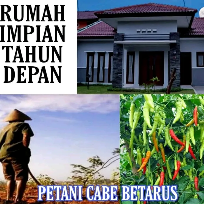Petani Bermimpi