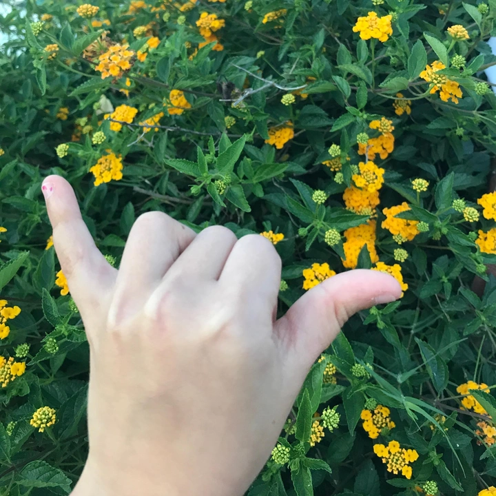 ✨🍎❄️👌🏻💜☀️