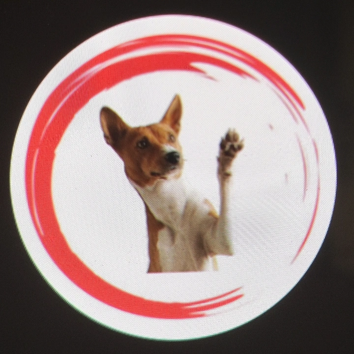 HeartwarmingAnimalRescue