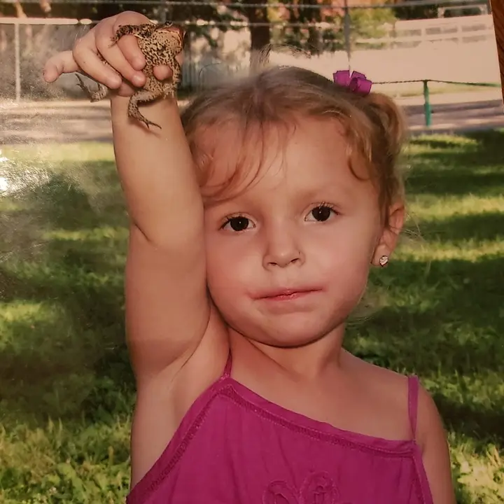 🐆🎱🌹⚡️🃏