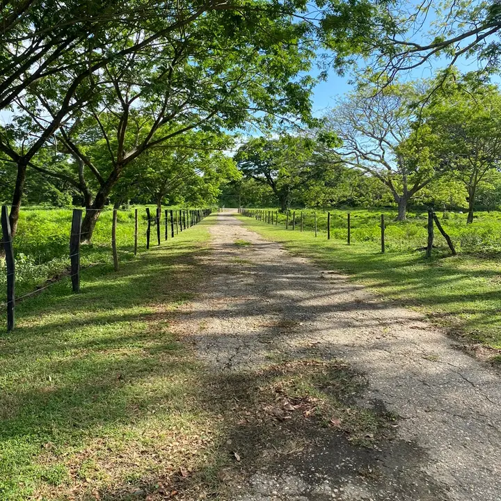 Fcogelvez