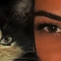 𝓛𝓲𝓿𝓻𝓮𝓷𝓽