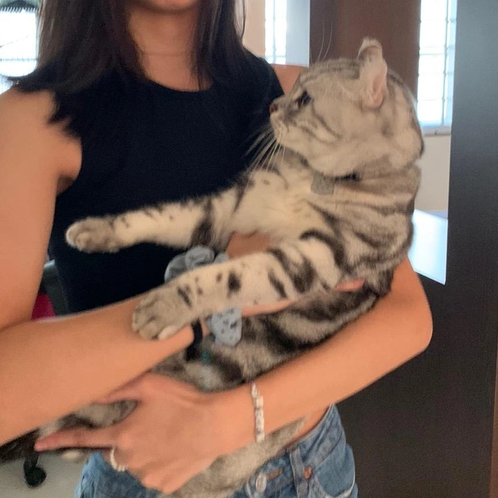 calpoopz