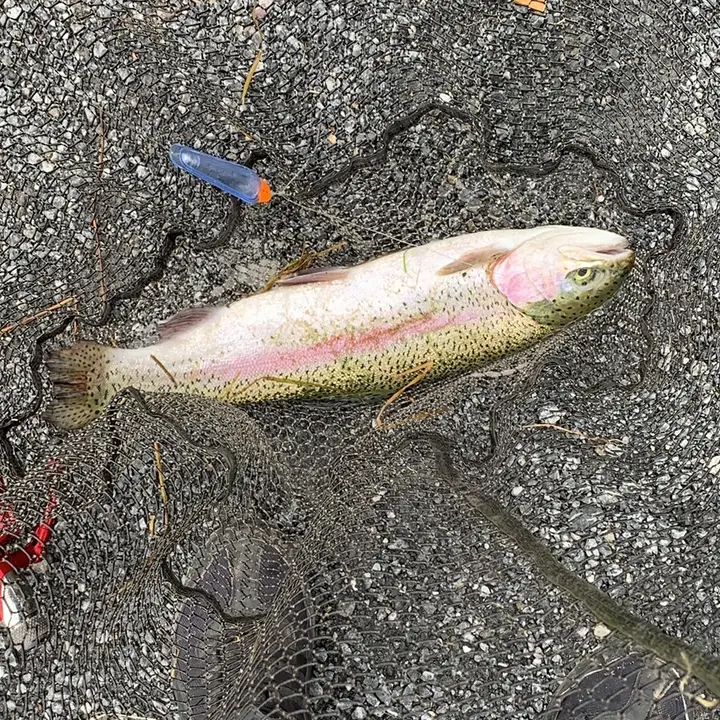 Fishing4Fun