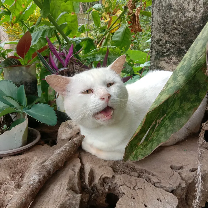 Yumiiiii