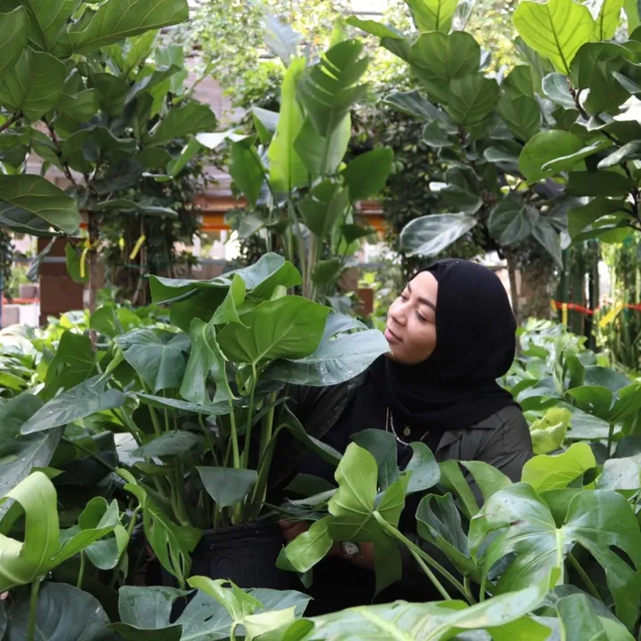 Teef | Plant Care Specialist🍃