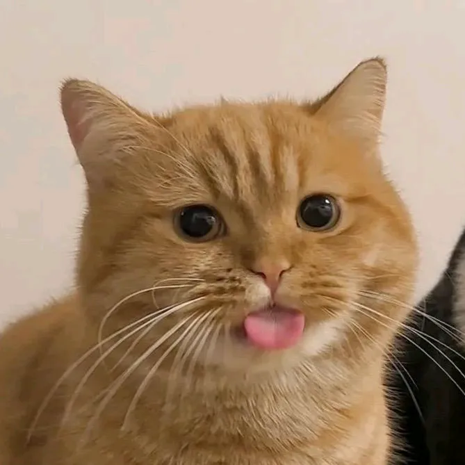 clapclap