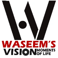 Waseem's Vision