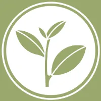 Pure & Easy Tea