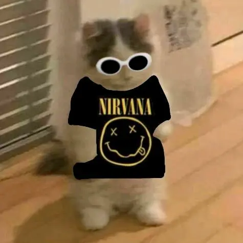 ꜱᴀᴄʜɪᴇʟ