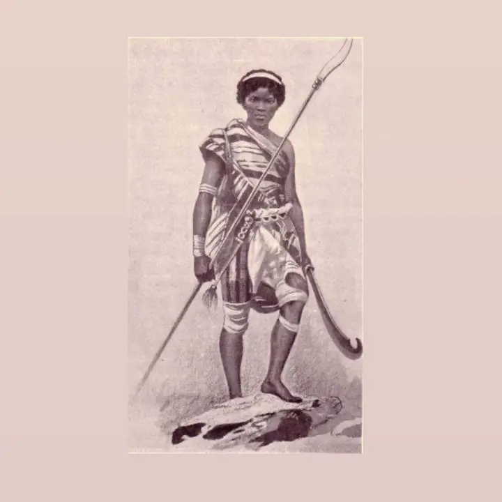 Verreaux_Eagle