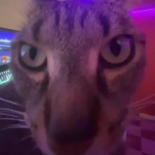 dzondixD