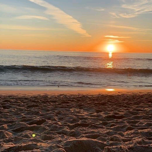 joanna 🐅🐚🌊✨️