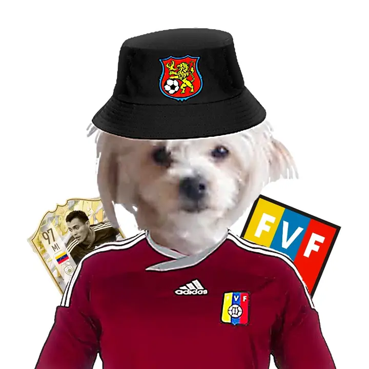 javidasilva