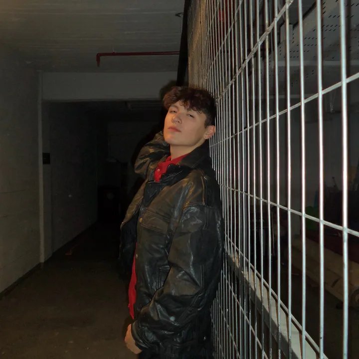 Braulio
