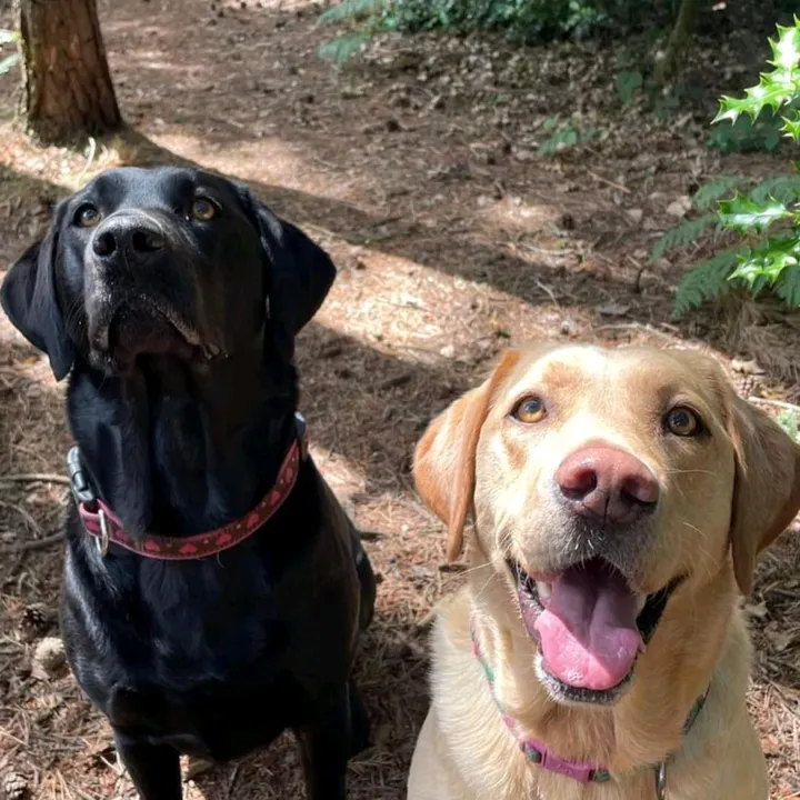 Holly and Daisy