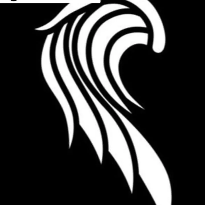 Angel project
