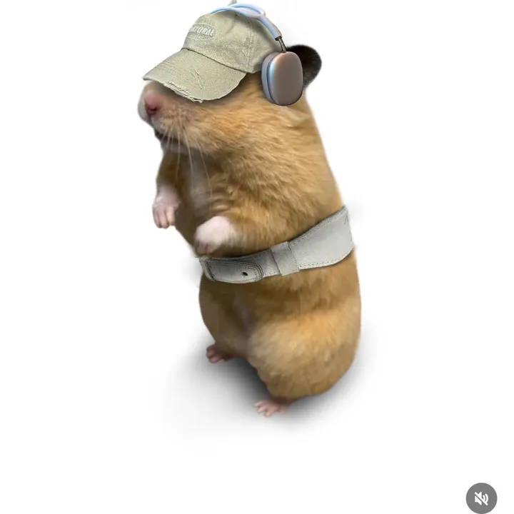 hazelphamm