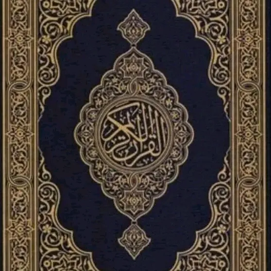 ودالـــــنـقـر 🤍✨