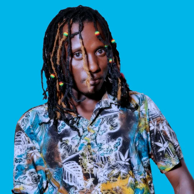 Sir Vigidi ug