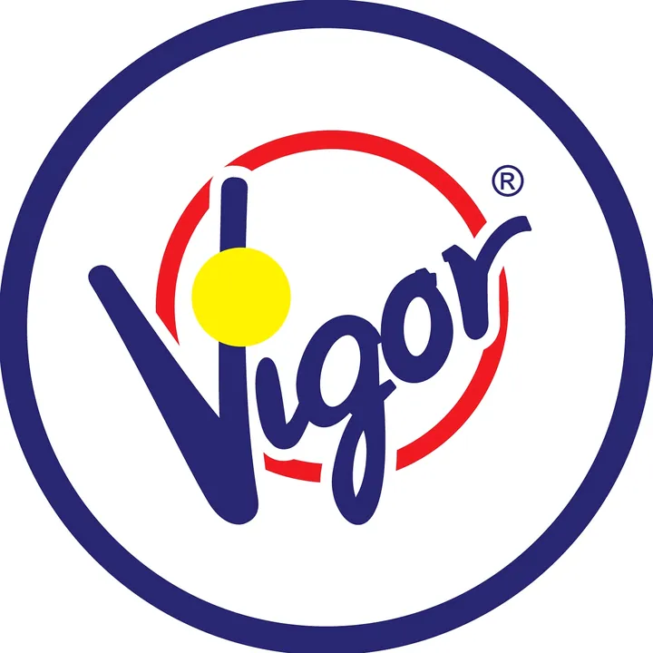 VigorPower
